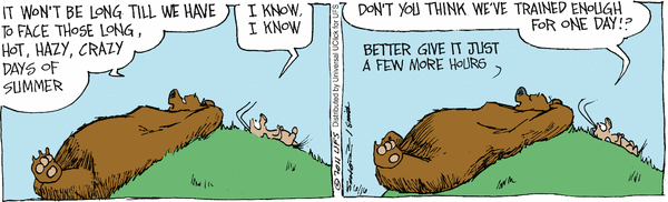 grizzwells
