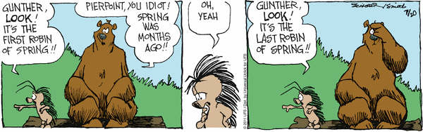 grizzwells