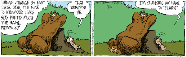 grizzwells