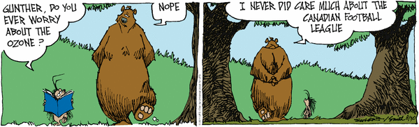 grizzwells