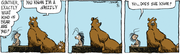 grizzwells