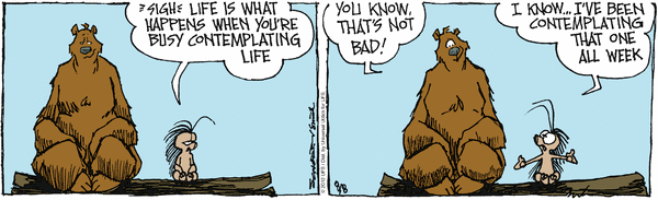 grizzwells