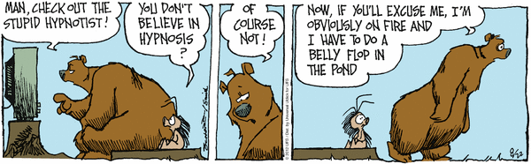 grizzwells