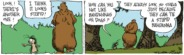 grizzwells