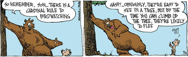 grizzwells