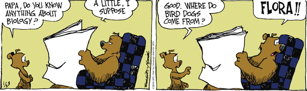 grizzwells
