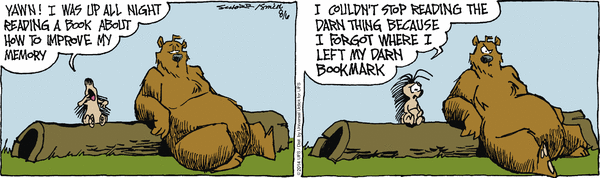 grizzwells